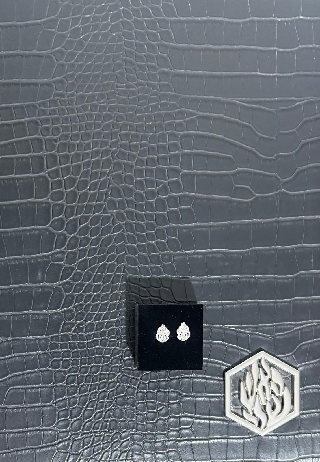 Aech Cheli Silver Earrings